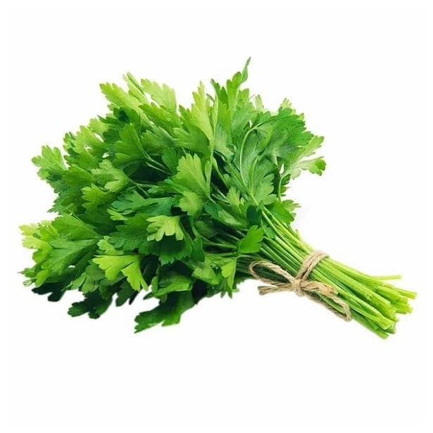 Bolsa de Perejil 100g